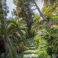 Villa Roquebrune Cap-Martin 