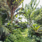 Villa Roquebrune Cap-Martin 